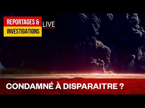 Etats-Unis : le pays le plus dangereux du monde ! – Géant aux pieds d’argile