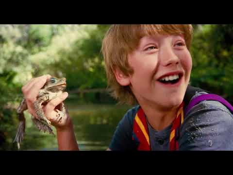 Judy Moody et son été pas raté